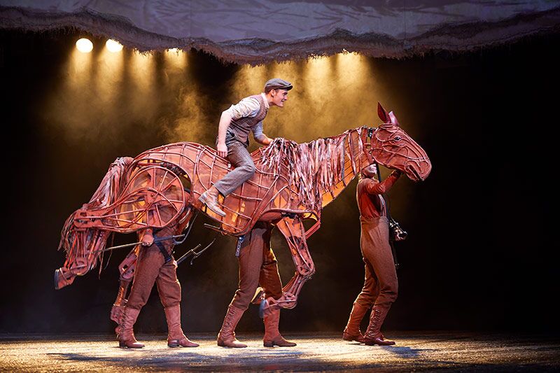 horse-10_preview