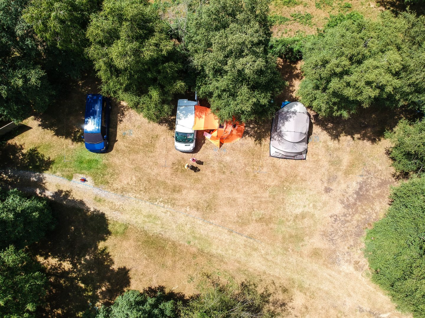 Campervan campsites in the New Forest