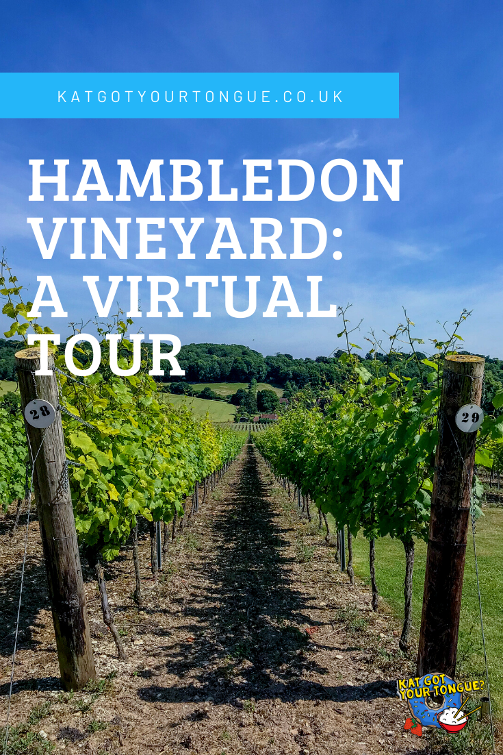 Hambledon Vineyard: A Virtual Tour, Hampshire