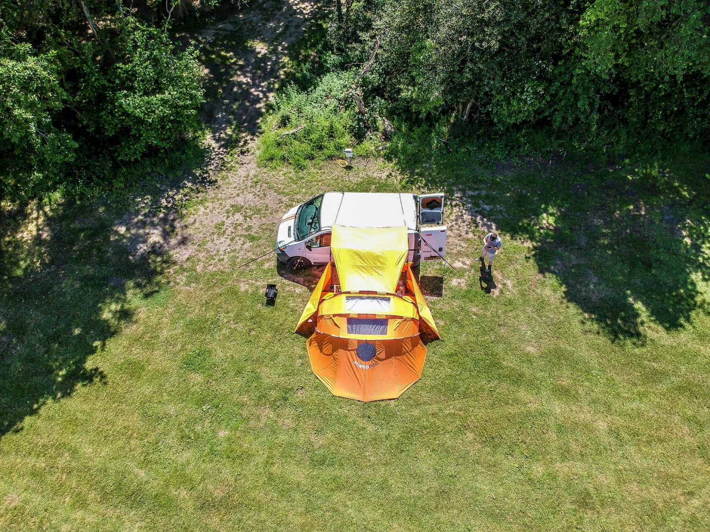 Campervan campsites in the New Forest