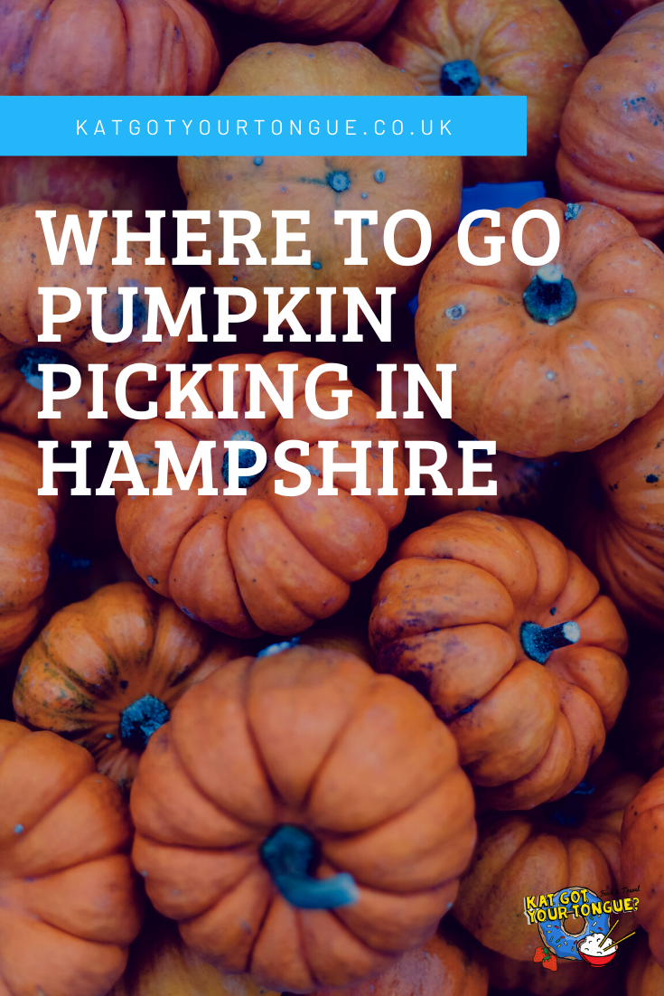 Where to go pumpkin picking in Hampshire