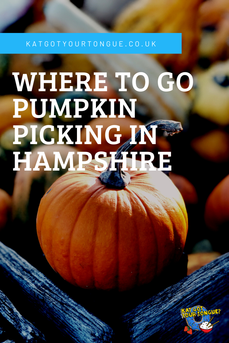 Where to go pumpkin picking in Hampshire